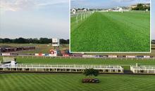 Johnson’s J 4Turf 25 delivers strength at  Stratford Racecourse for a busy summer season